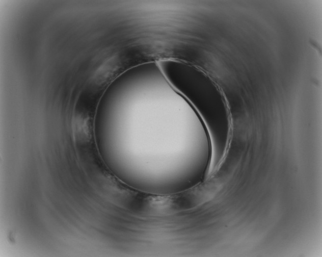 X0000096670088200802051233