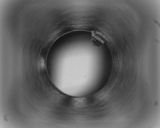 X0000096670089200802051233