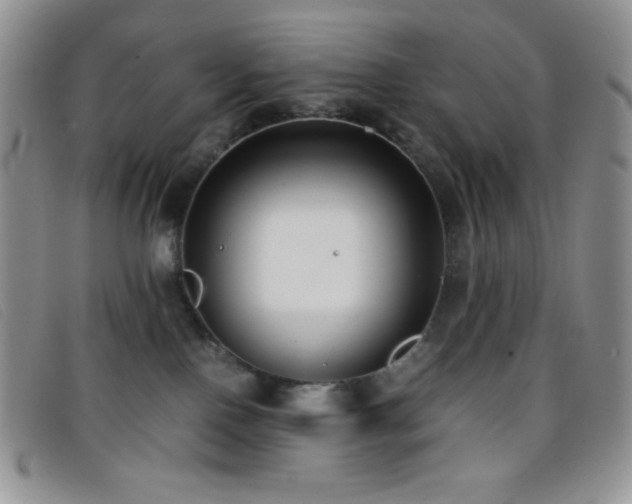 X0000096670090200802051233