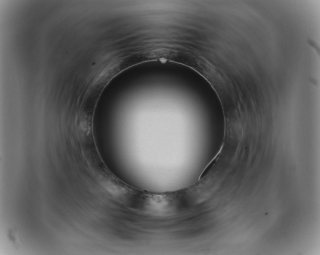 X0000096670091200802051233