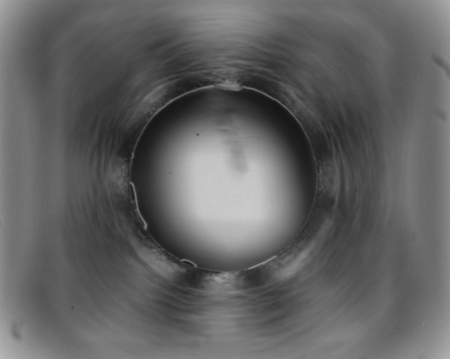 X0000096670092200802051233