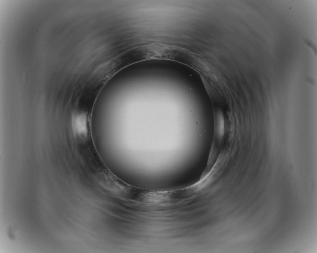 X0000096670094200802051233