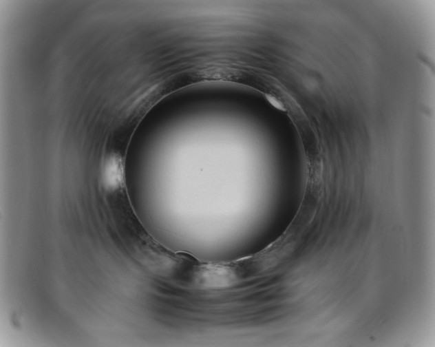 X0000096670095200802051233