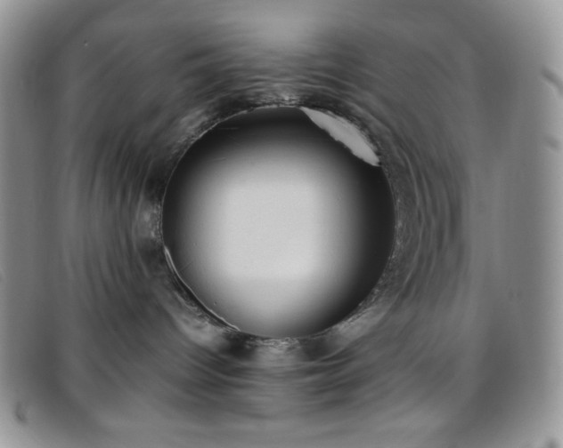 X0000096670096200802051233