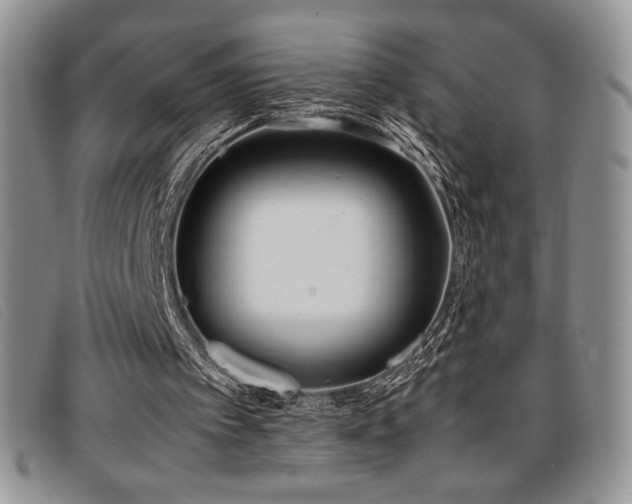 X0000096670097200802051232