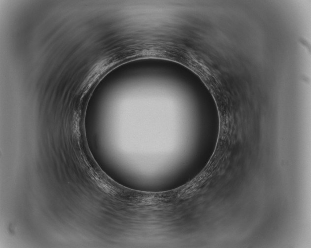 X0000096670098200802051232