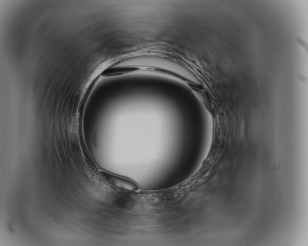 X0000096670100200802051232