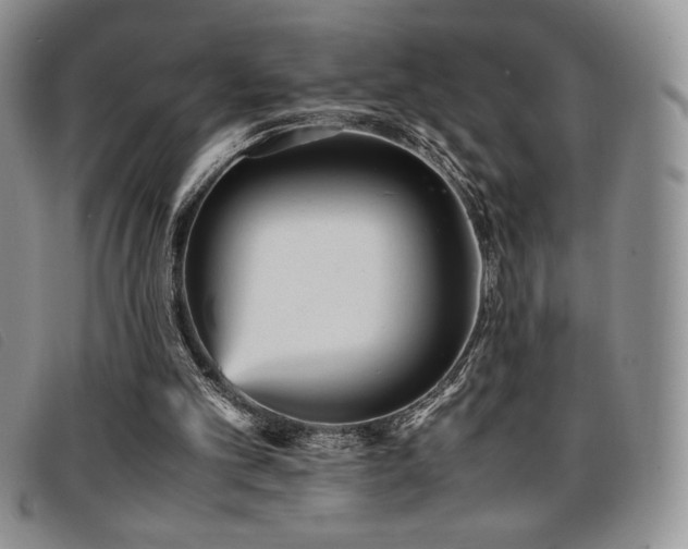 X0000096670101200802051232