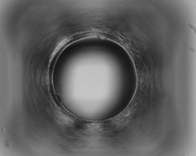 X0000096670102200802051232