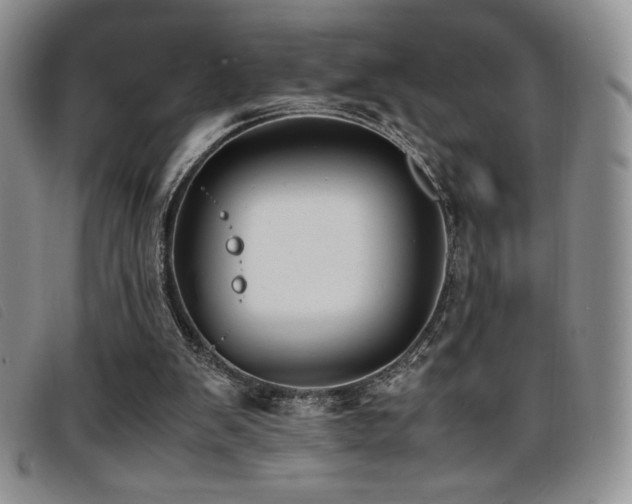 X0000096670103200802051232