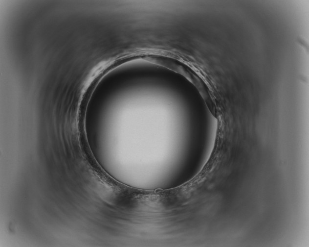 X0000096670104200802051232