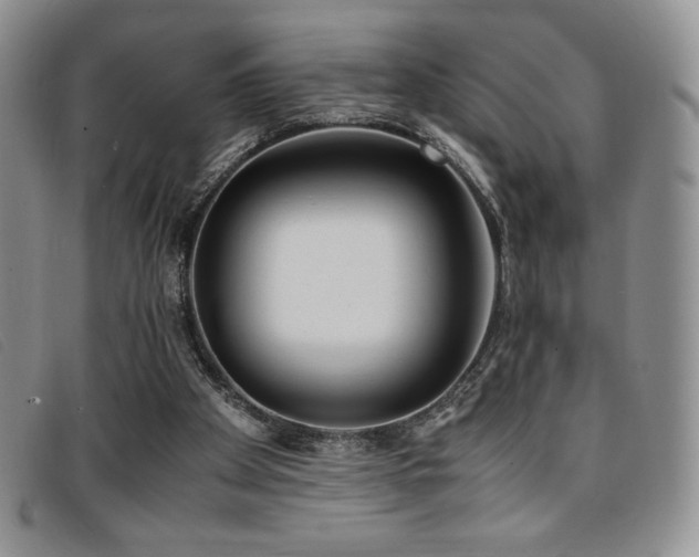 X0000096670105200802051232
