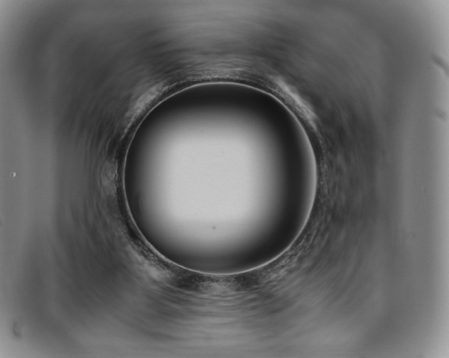 X0000096670107200802051232