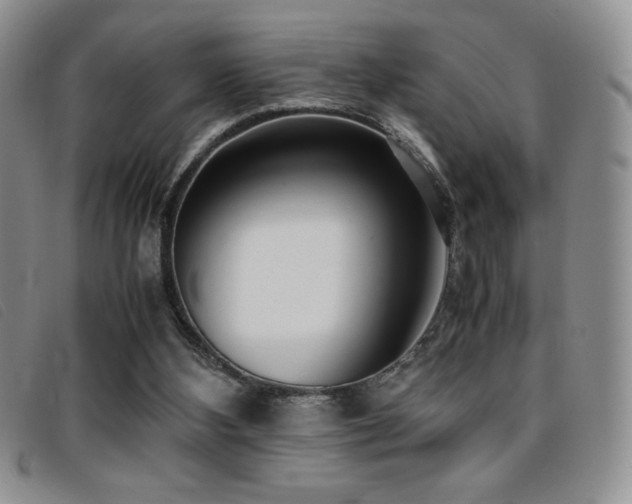 X0000096670108200802051232