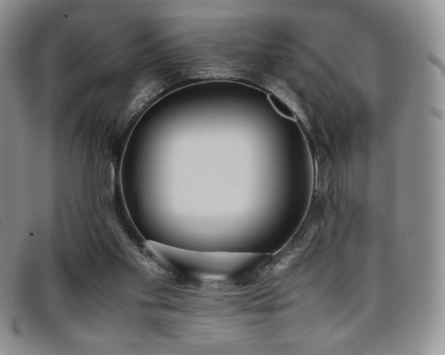 X0000096670109200802051232