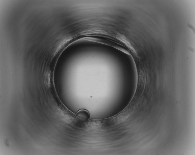 X0000096670110200802051232