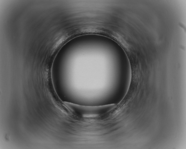 X0000096670111200802051232