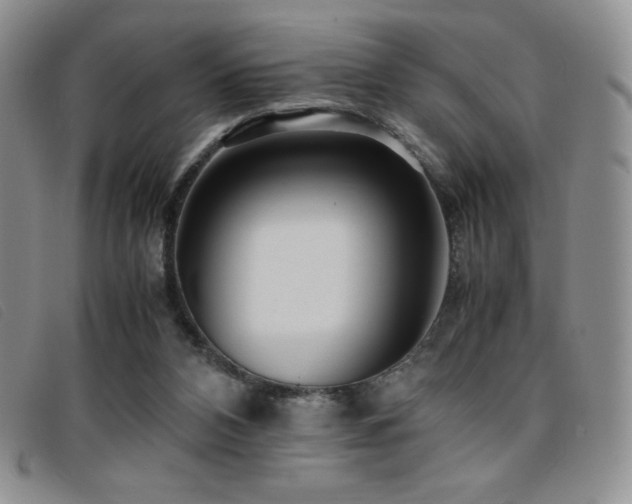 X0000096670112200802051232