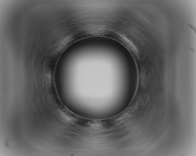X0000096670113200802051232