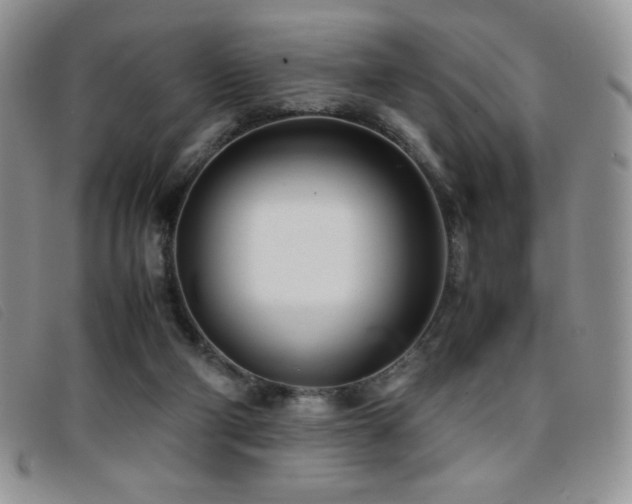 X0000096670114200802051232