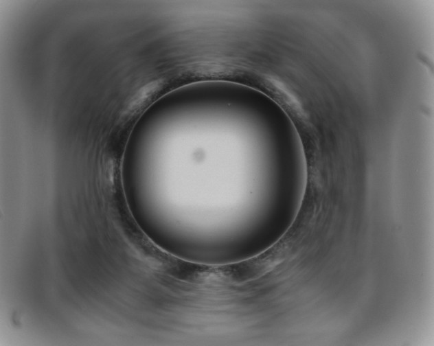X0000096670115200802051232
