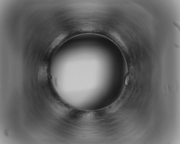 X0000096670116200802051232