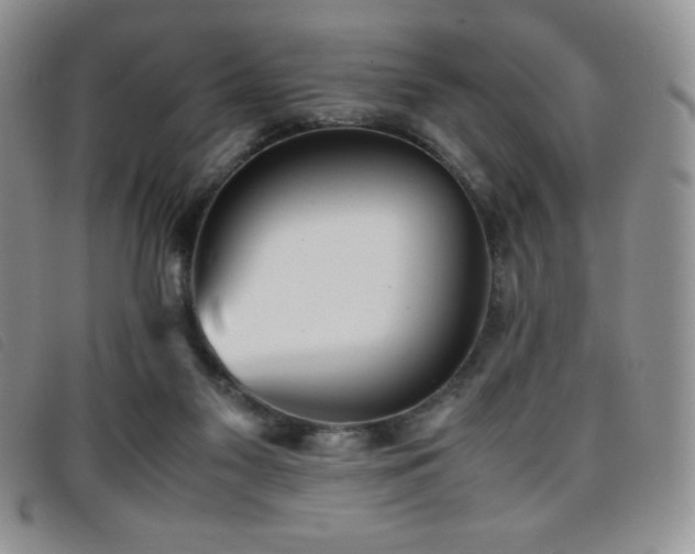 X0000096670117200802051232