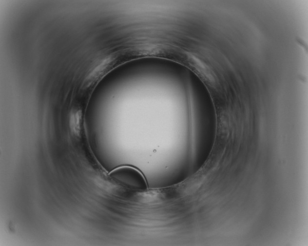 X0000096670118200802051232