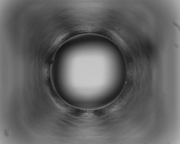 X0000096670119200802051232
