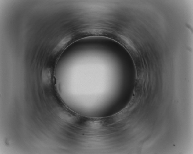 X0000096670120200802051232