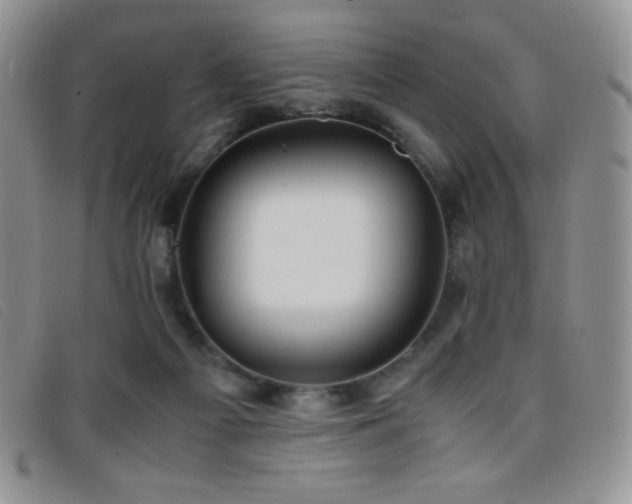 X0000096670121200802051232