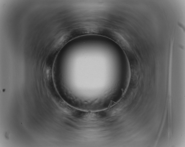 X0000096670123200802051232