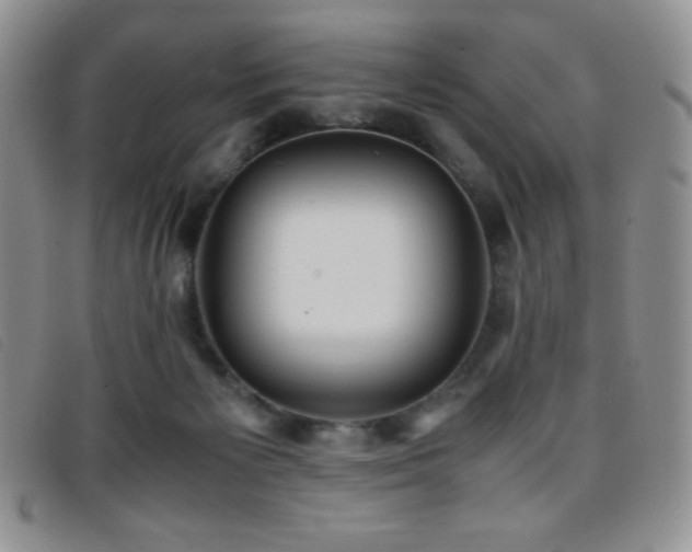 X0000096670125200802051232