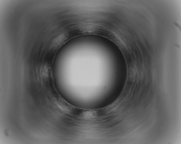 X0000096670126200802051232