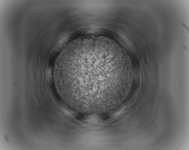 X0000096670127200802051232