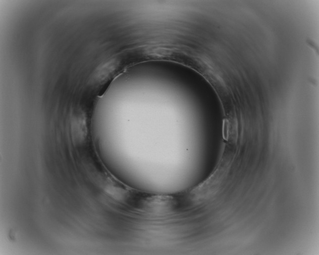 X0000096670128200802051232