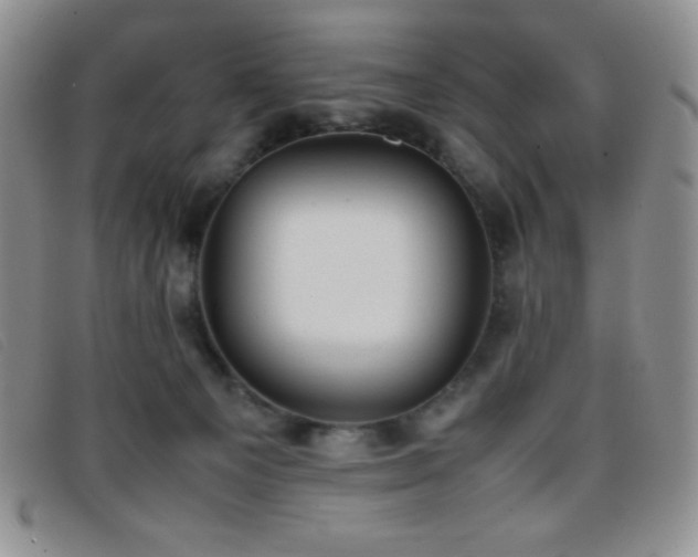X0000096670129200802051232