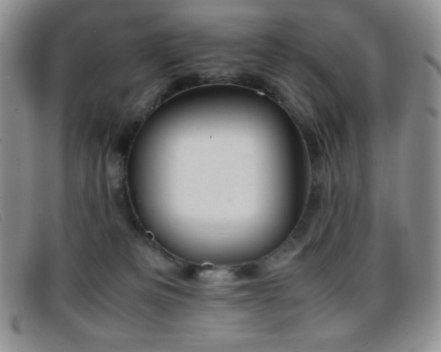 X0000096670133200802051232
