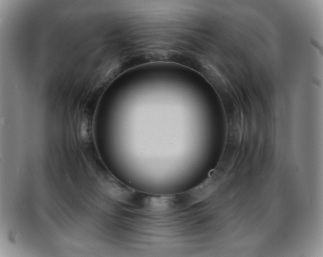 X0000096670134200802051232