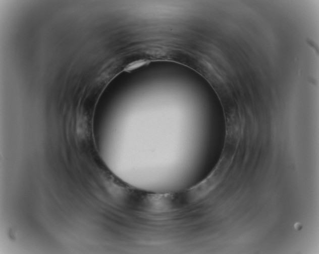 X0000096670136200802051232