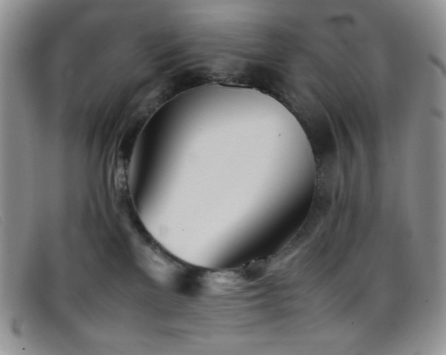 X0000096670137200802051231