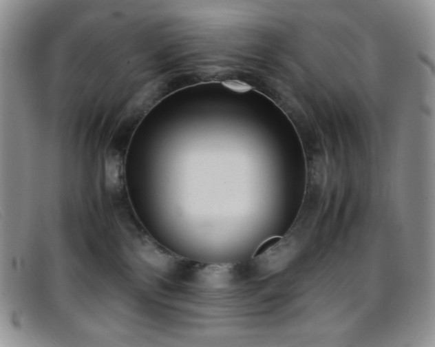 X0000096670138200802051231