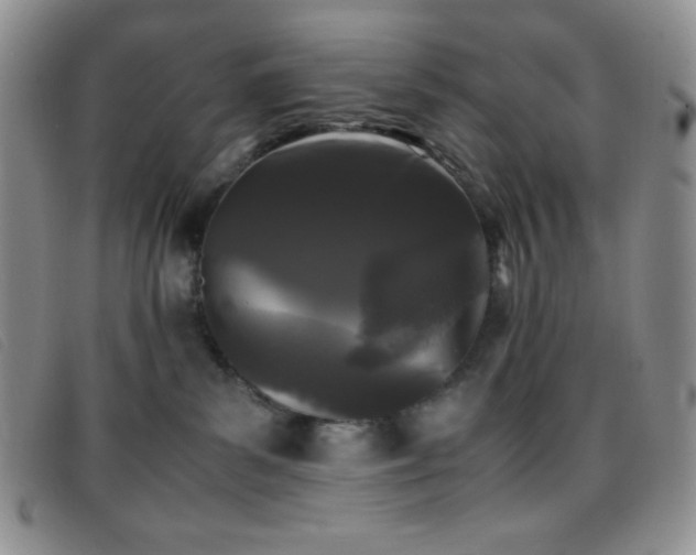 X0000096670139200802051231