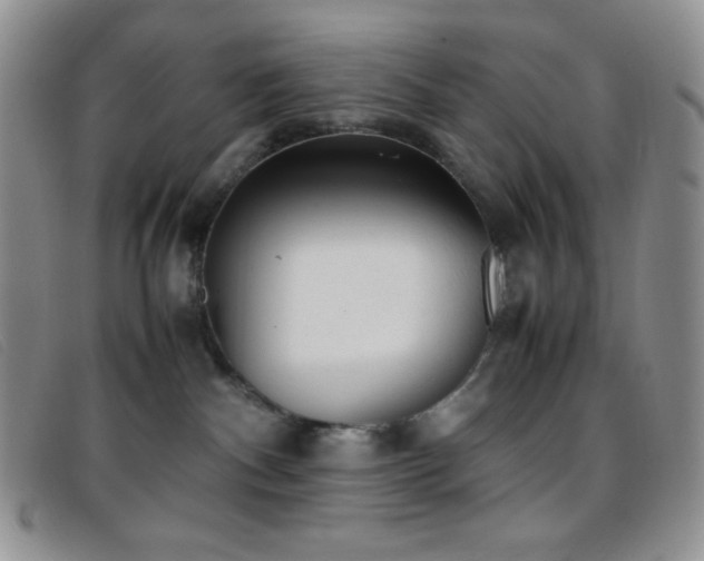 X0000096670140200802051231
