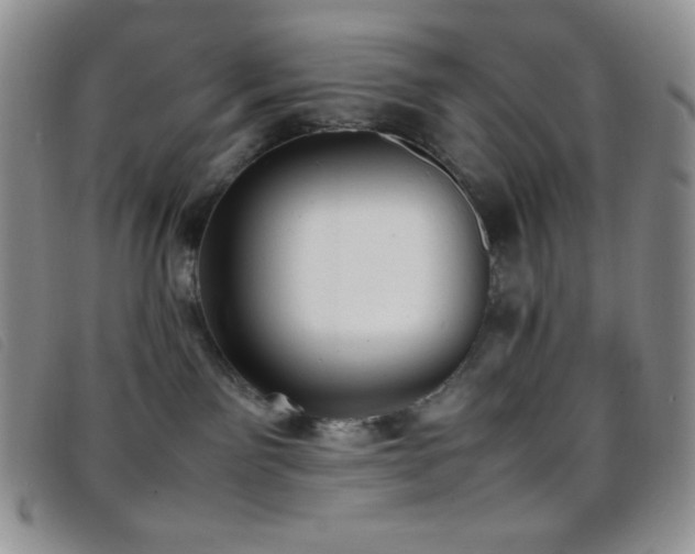 X0000096670141200802051231