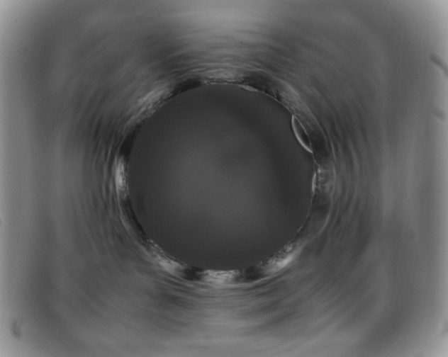 X0000096670143200802051231