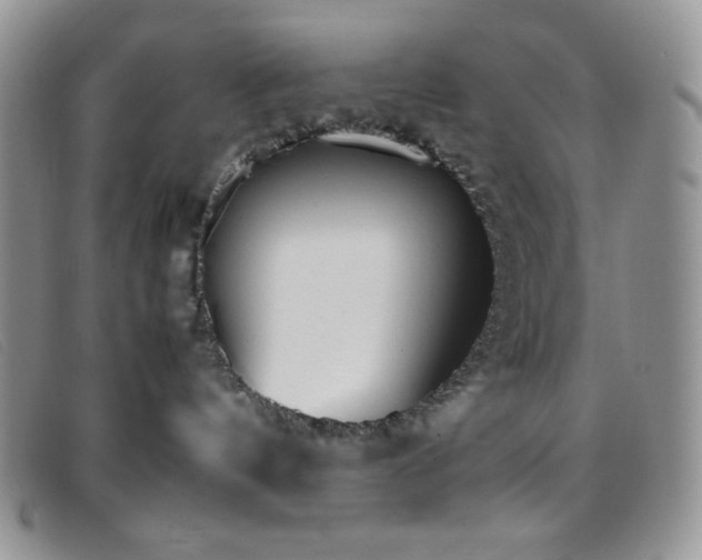X0000096670144200802051231