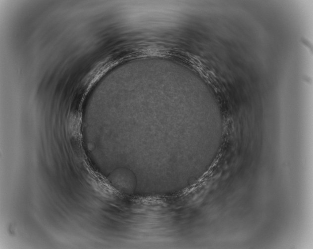 X0000096670146200802051231