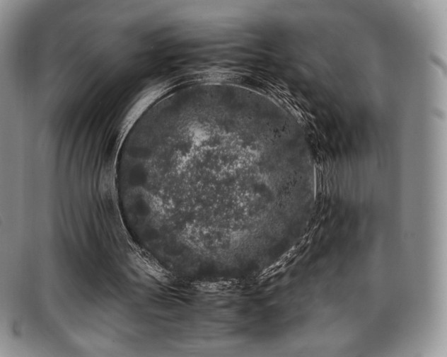 X0000096670147200802051231