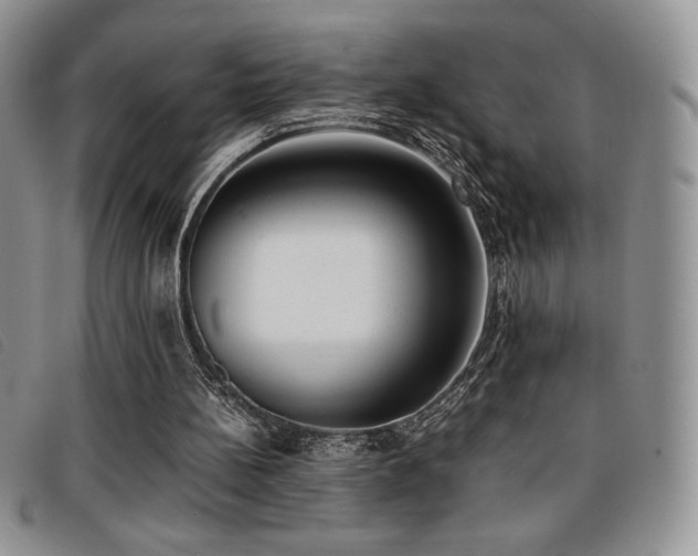 X0000096670148200802051231